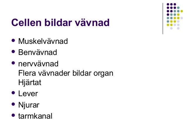 celler och vävnader